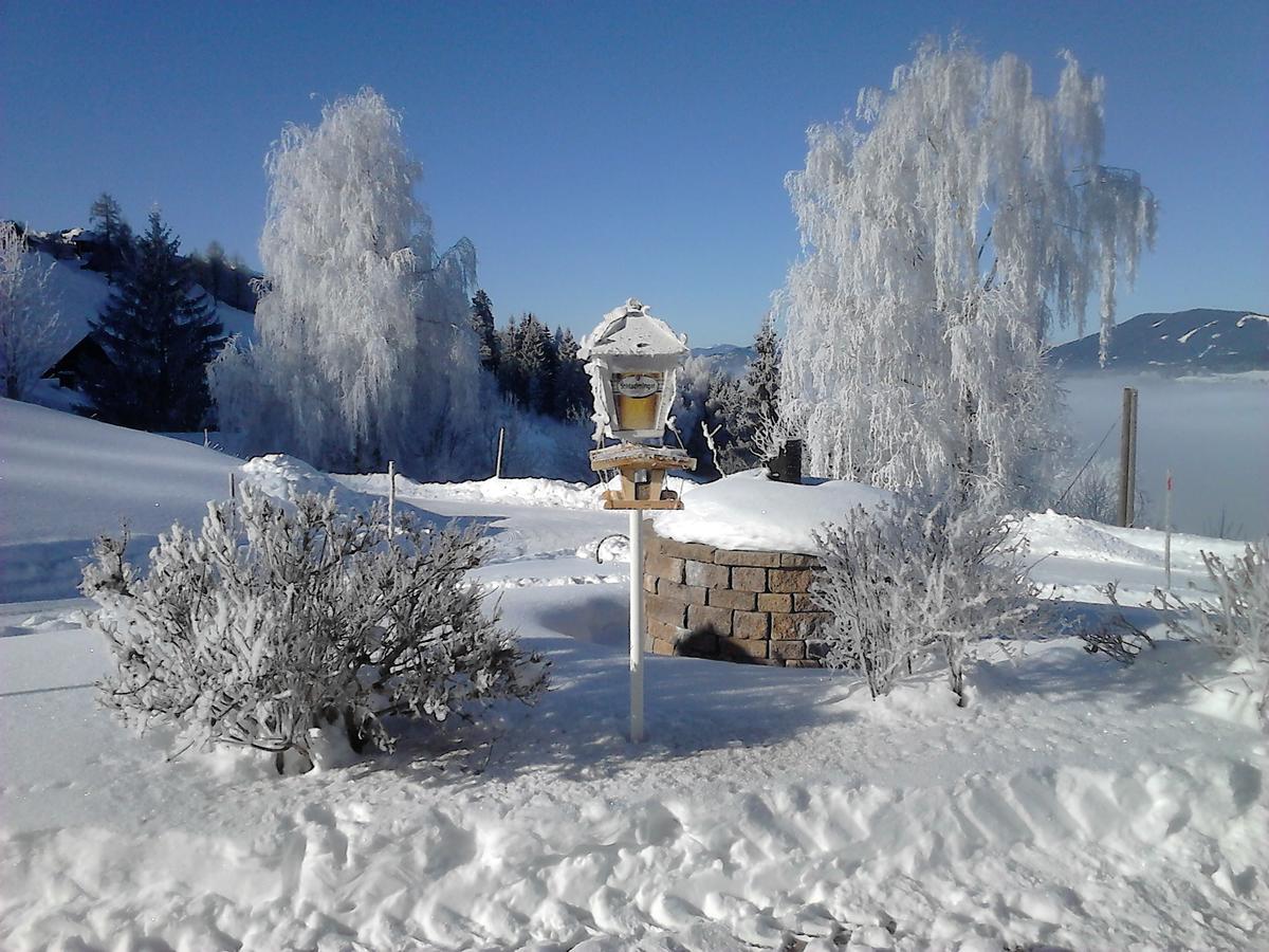 Asingerhof 3* Schladming